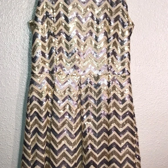 Charming Charlie Size Small Sort Party Dress.Covered in Gold and Silver Sequins - Picture 7 of 9